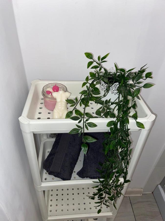 Apartament Grunwaldzka Бидгощ Екстер'єр фото